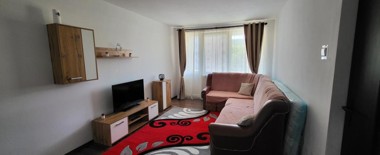 Apartament In Regim Hotelier Deva Exterior photo