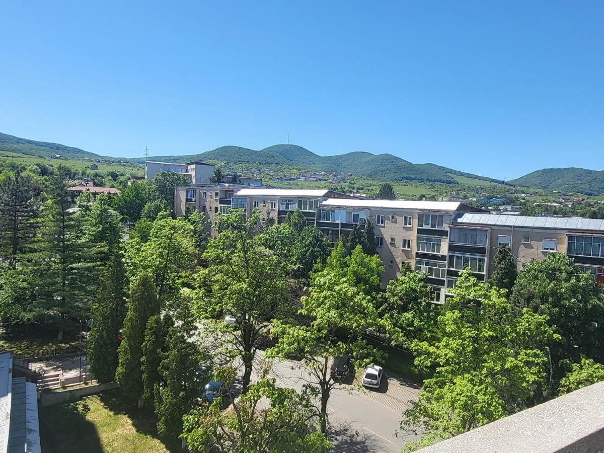 Apartament In Regim Hotelier Deva Exterior photo